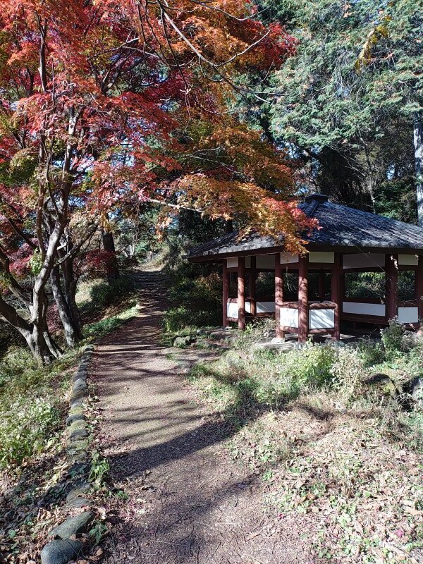 烏ヶ森公園の丘の休憩所（11月20日）