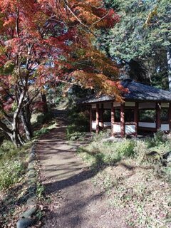 烏ヶ森公園の丘の休憩所（11月20日）