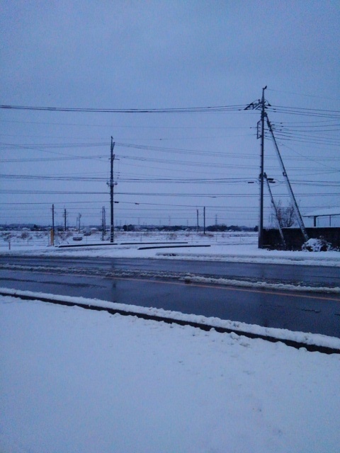 朝の道路と電柱（2月6日）