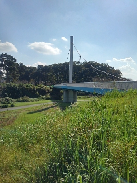 白い陸橋（10月12日）