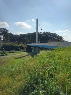 白い陸橋（10月12日）