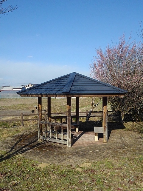 小さな休憩所（3月3日）