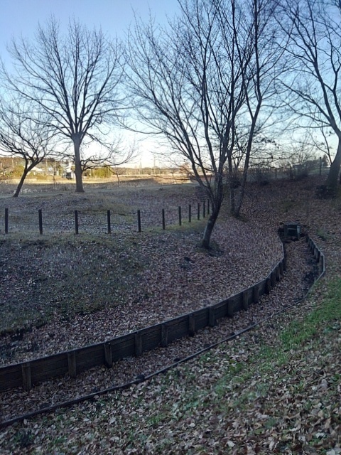川崎城跡の水のない小川（1月5日）