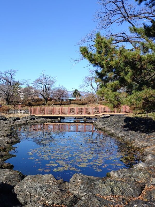 池の橋（12月6日）