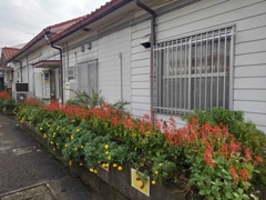 矢板駅の花壇（9月22日）