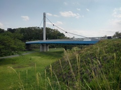 遠目の白い陸橋（4月26日）