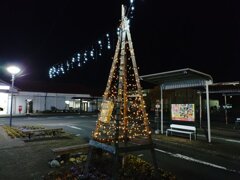 オレンジツリーイルミ（12月5日）