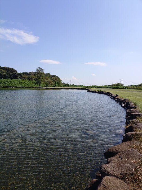 ゆうゆうパークの池の岸からの眺め（8月30日）