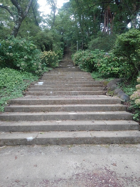 烏ヶ森公園の丘の急な階段（8月10日）