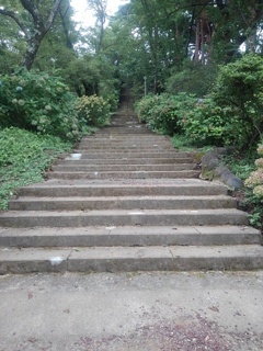 烏ヶ森公園の丘の急な階段（8月10日）