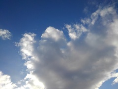 大きい雲（12月28日）