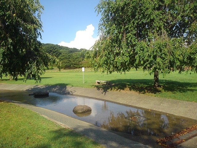 映り込みが綺麗な人工の小川（8月5日）