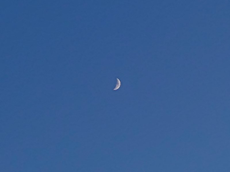 昼間の三日月（12月26日）