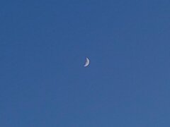 昼間の三日月（12月26日）