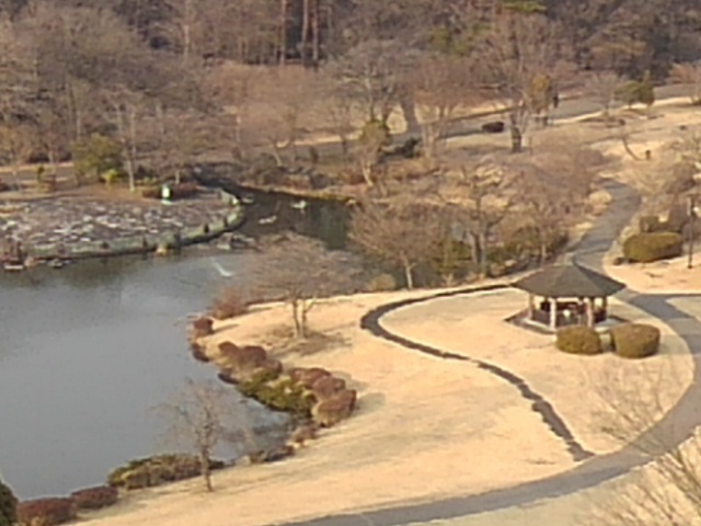 タワーからの広場や池（3月1日）