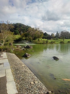 那須野が原公園の池の岸から（10月14日）