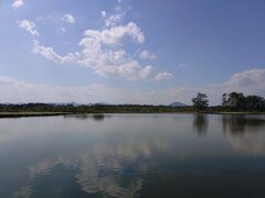 ゆうゆうパークの池の映り込み（8月30日）