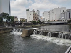 市街地の中の堰（7月4日）