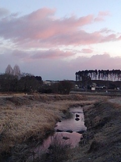 朝の色に染まる川（1月30日）