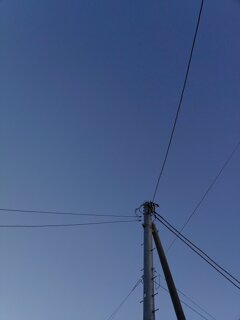 電柱（12月18日）