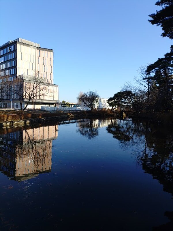 池に映り込む市役所のビル（12月30日）