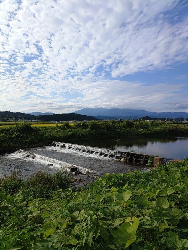 土手の道からの川（9月23日）