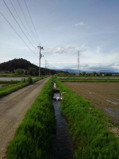 用水路のある景色（5月11日）