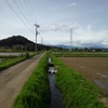 用水路のある景色（5月11日）