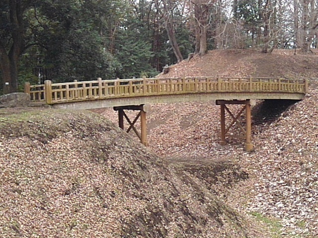 木製の陸橋（1月2日）