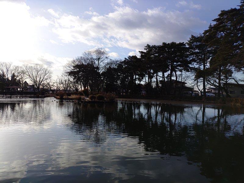 烏ヶ森公園の鏡のような池の水面（1月30日）