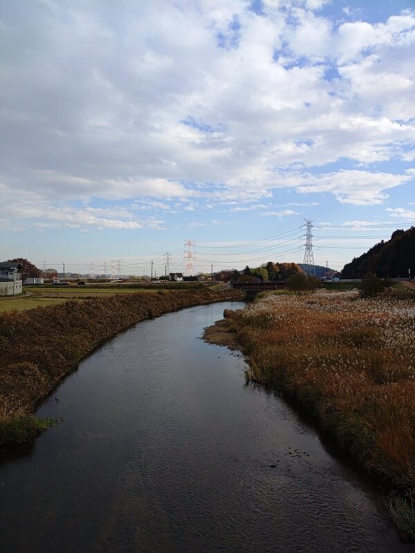 ともなり橋の上からの川（11月21日）