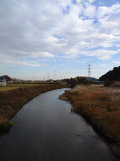ともなり橋の上からの川（11月21日）