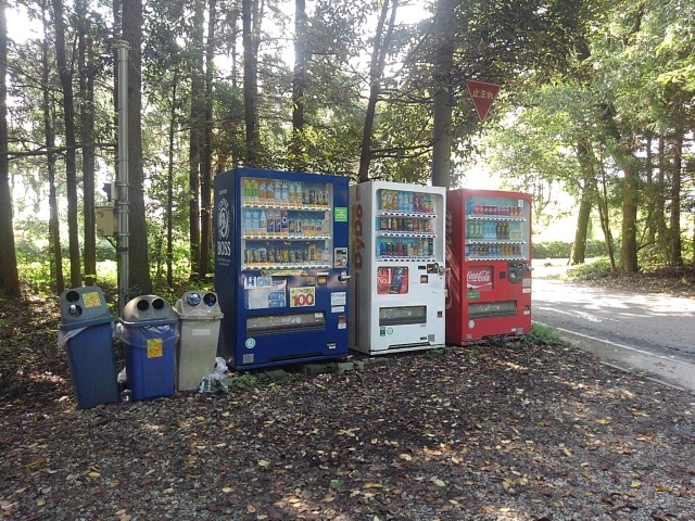森の自販機（9月17日）