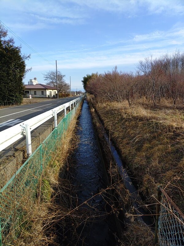 大きい用水路（1月20日）