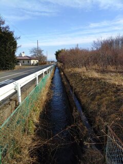 大きい用水路（1月20日）