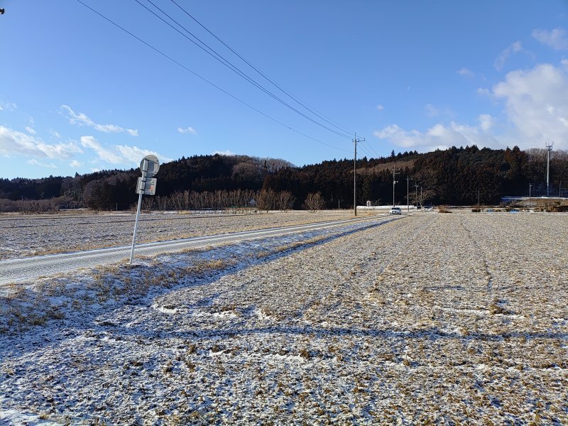 白い田んぼ（2月9日）