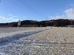 白い田んぼ（2月9日）