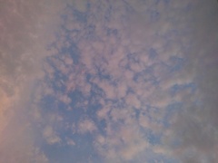 夕日に染まる鱗雲（7月1日）