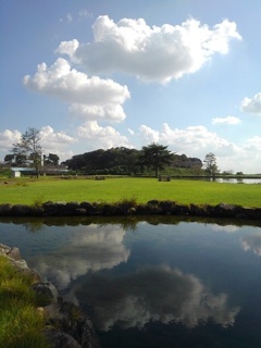 小川と遠くの陸橋（10月12日）