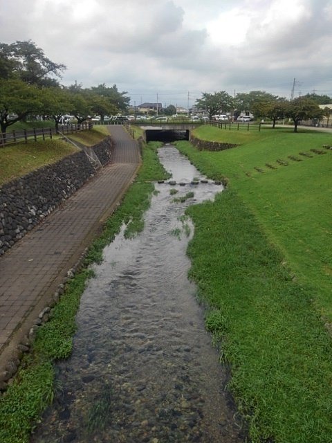 公園の橋から見えた川（9月1日）