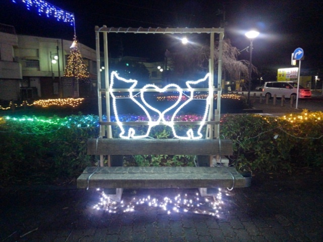 猫イルミ（12月1日）