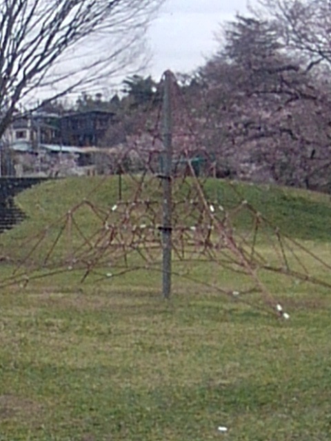 長峰公園のジャングルジム（4月5日）