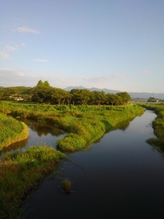 分岐の川（8月8日）