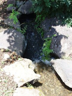 烏ヶ森公園の滝（8月8日）