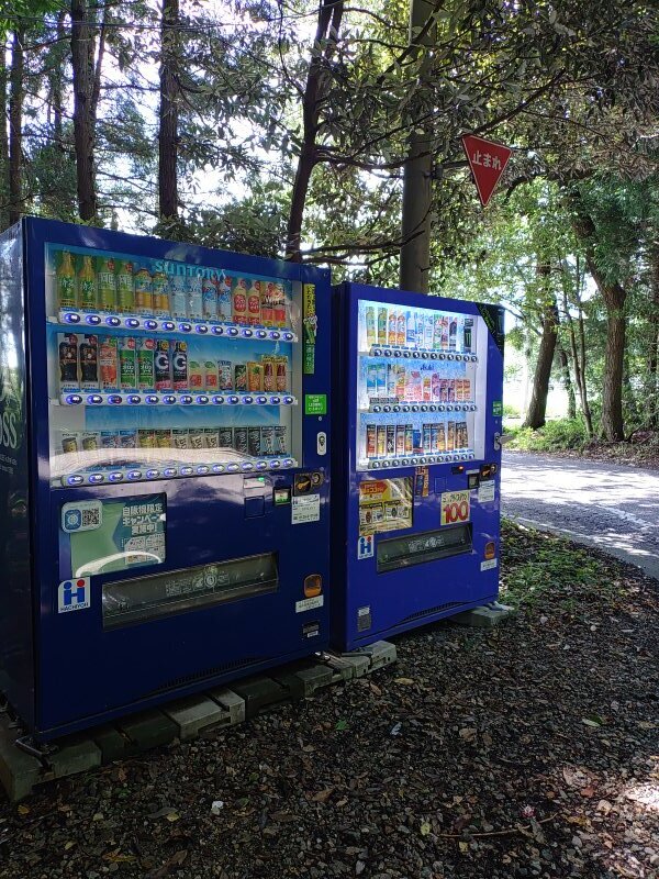 森の自動販売機（8月8日）