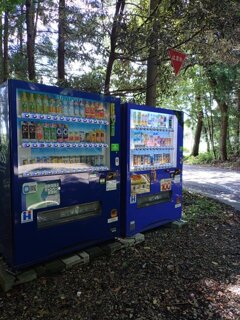 森の自動販売機（8月8日）