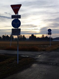 朝の水田地帯にある標識（12月25日）