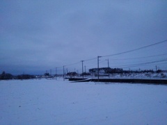 朝の水田と道路（2月6日）