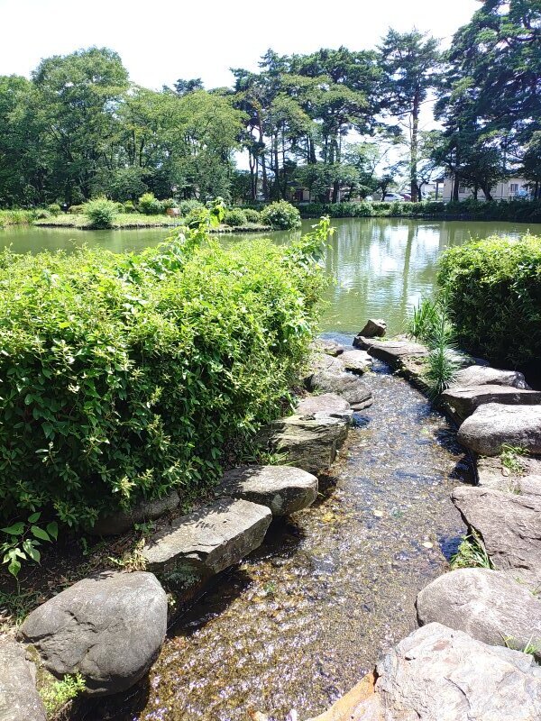 烏ヶ森公園の小川（8月8日）