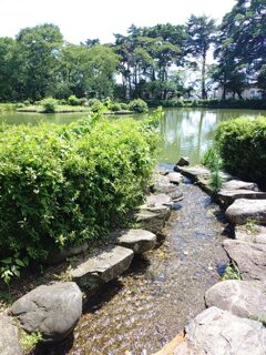 烏ヶ森公園の小川（8月8日）
